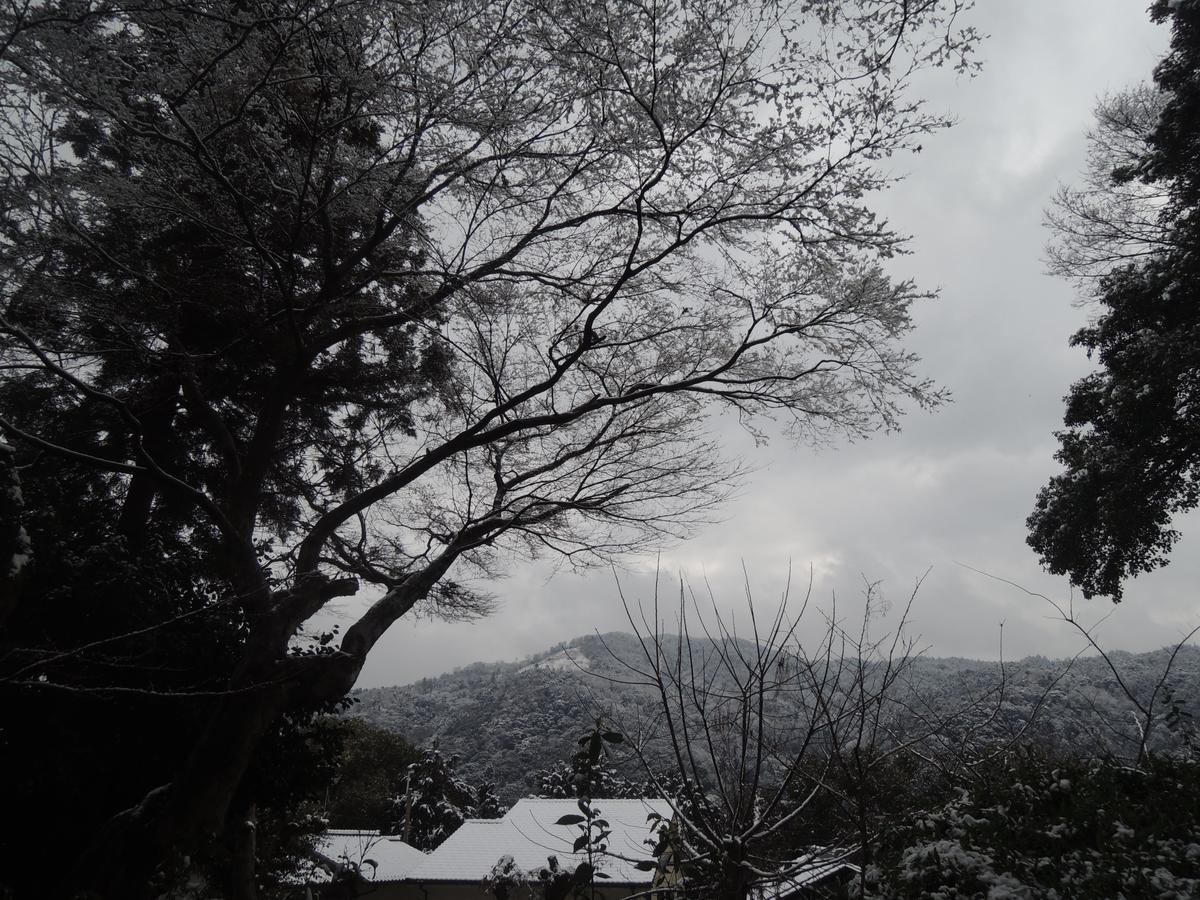 Ryokan Inn Yoshida-Sanso Киото Екстериор снимка